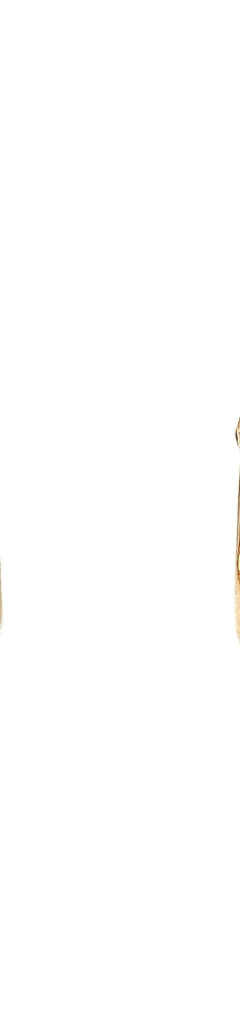 Vintage 18K Gold Fisherman's Hoop Earrings